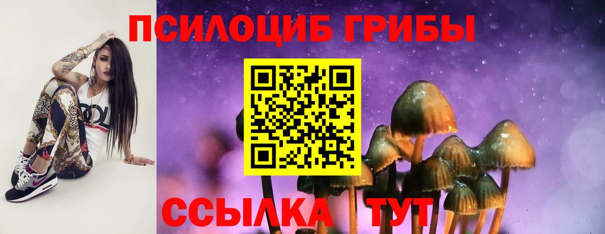 Псилоцибиновые грибы прущие грибы  Вход с VPN  Псилоцибиновые грибы Magic Shrooms  наркошоп  Камень-на-Оби 